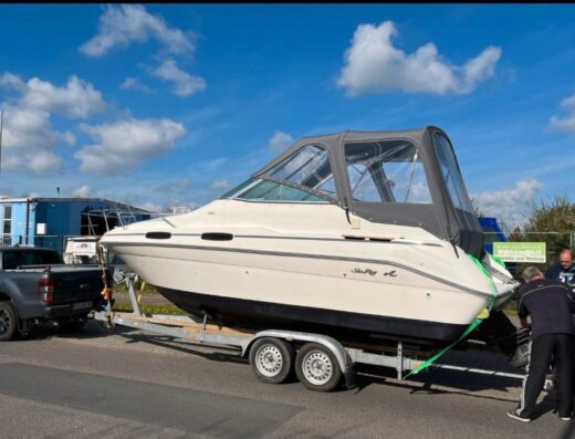 Sea Ray 230 DA