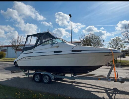 Sea Ray 230 DA