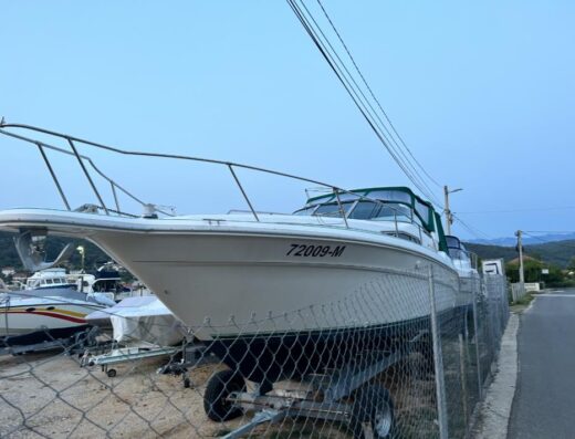 Sea Ray 330 da
