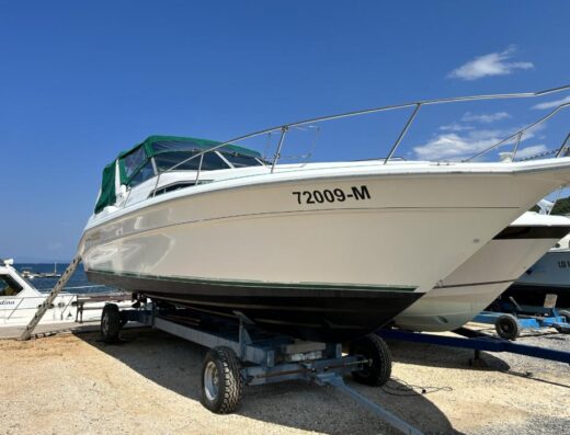 Sea Ray 330 da