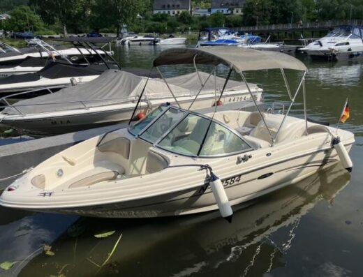 Sea Ray BR 176 inkl Trailer