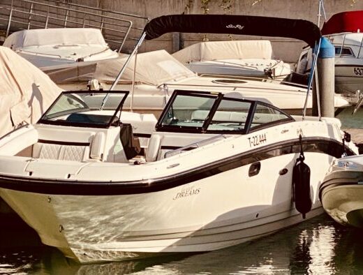 Sommerträume zu verkaufen – Sea Ray SDX 270 (BJ 2018) ☀️ Süßwasserboot | Top gepflegt | Ready to go