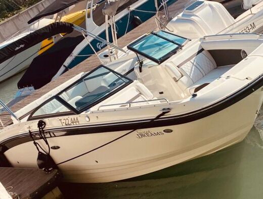 Sommerträume zu verkaufen – Sea Ray SDX 270 (BJ 2018) ☀️ Süßwasserboot | Top gepflegt | Ready to go