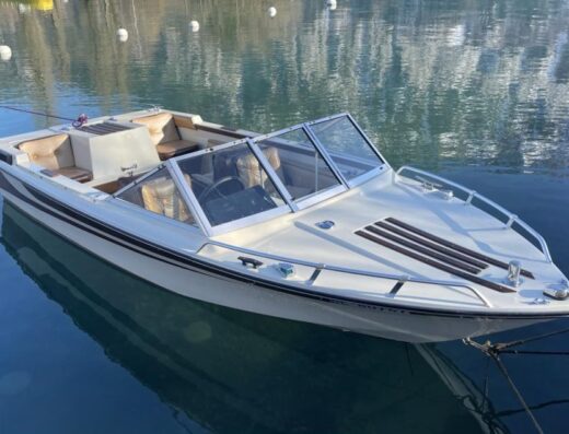 Starcraft American 16