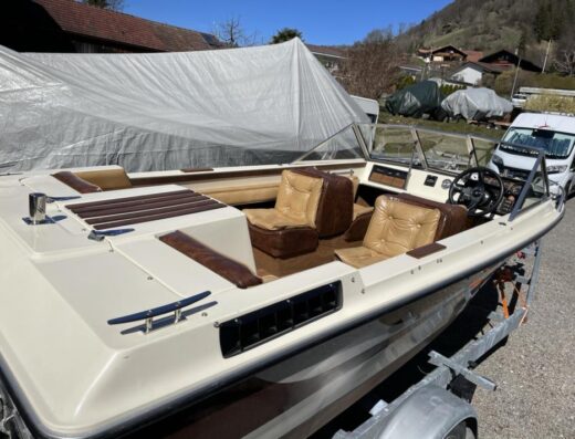 Starcraft American 16