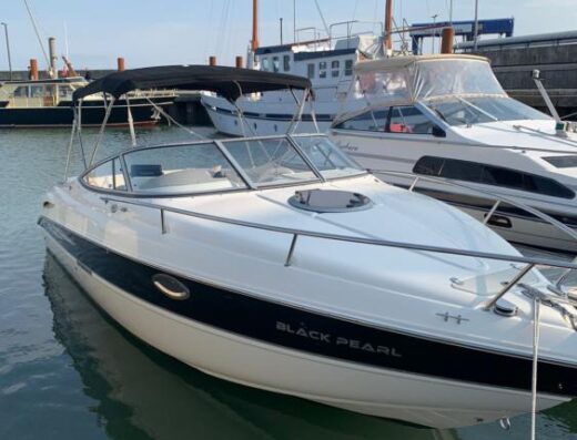 Stingray 250 CR inkl. Straßentrailer