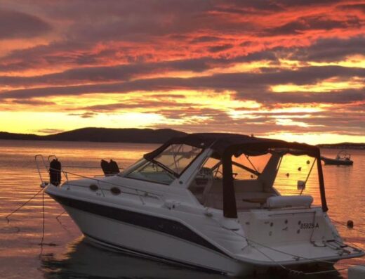 Sundancer 290DA