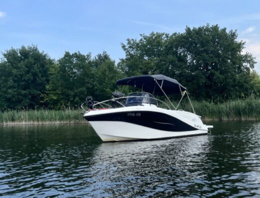 Sundeck Barracuda 595 SD