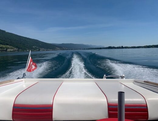 Top gepflegtes Motorboot inkl. Trailer. Keine Defekte
