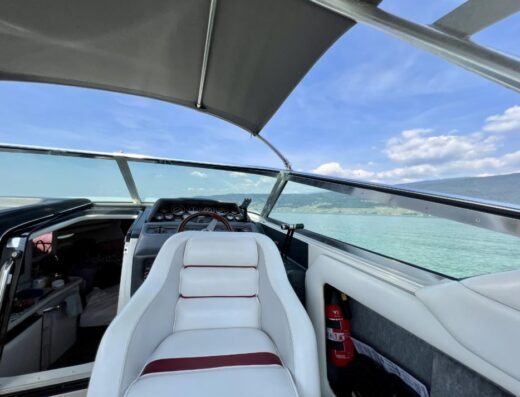 Verkaufe eine schöne Sea Ray 310 SS
