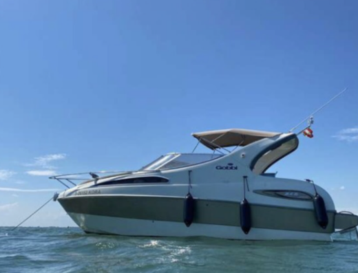 Verkaufe Motorboot Gobbi 245 Cabin mit 2x Volvo Penta (Traumboot)