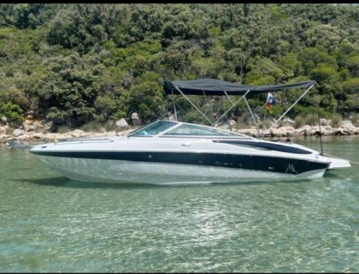 !! Crownline 206 LS Bowrider Boot !! Top Zustand | inkl. Trailer