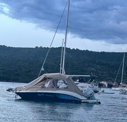 Blueliner 19, Darmar 575, 140 PS Suzuki, Top Zustand, Sundeck