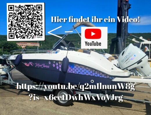 Blueliner 19, Darmar 575, 140 PS Suzuki, Top Zustand, Sundeck