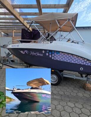 Blueliner 19, Darmar 575, 140 PS Suzuki, Top Zustand, Sundeck