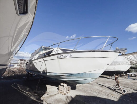 Chris Craft Catalina