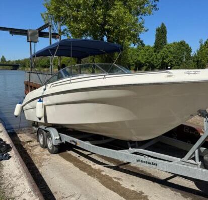 Sea Ray 260 BR – 7.4L V8 – Top Zustand – inkl. Trailer