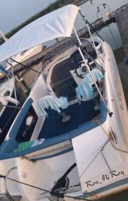 Galia 570 / Aquamot Prof. 9.0