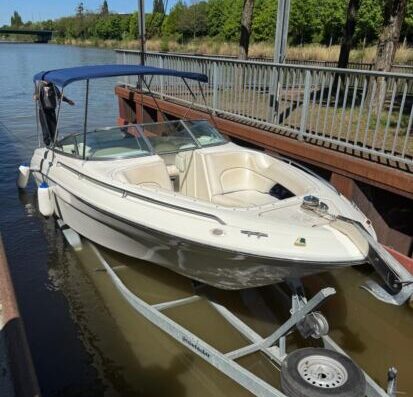Sea Ray 260 BR – 7.4L V8 – Top Zustand – inkl. Trailer