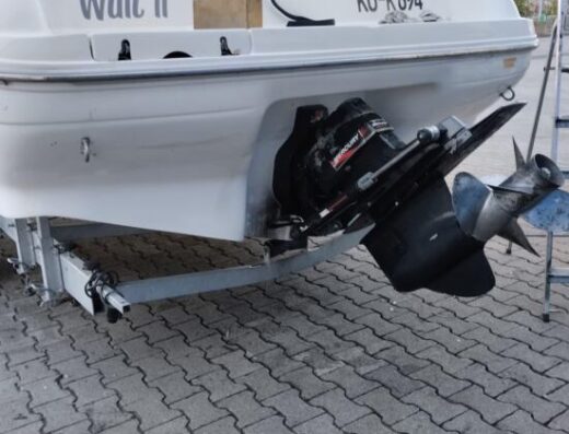Sea Ray 260 BR – 7.4L V8 – Top Zustand – inkl. Trailer
