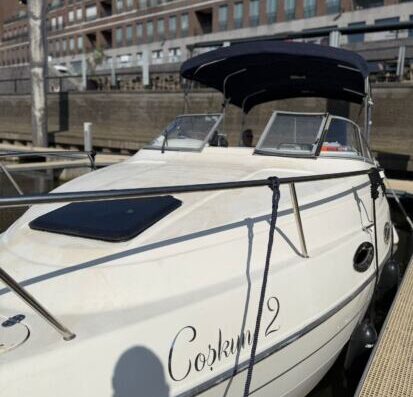 Stingray 240