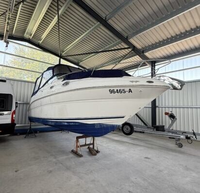 Sea Ray 240 Sundancer