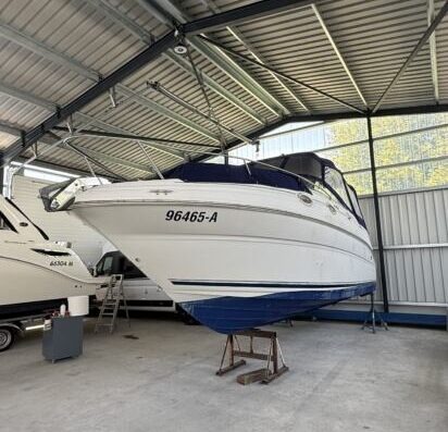 Sea Ray 240 Sundancer