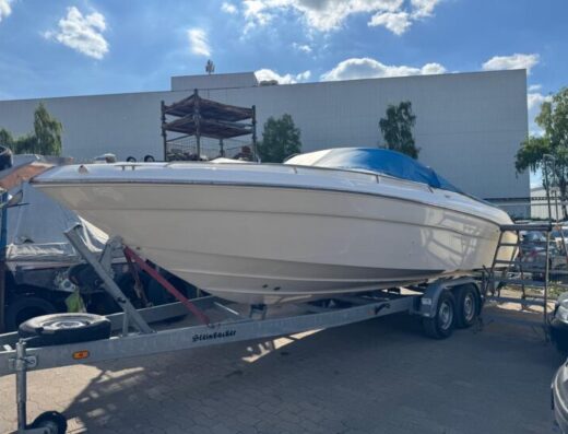 Sea Ray 260 BR – 7.4L V8 – Top Zustand – inkl. Trailer