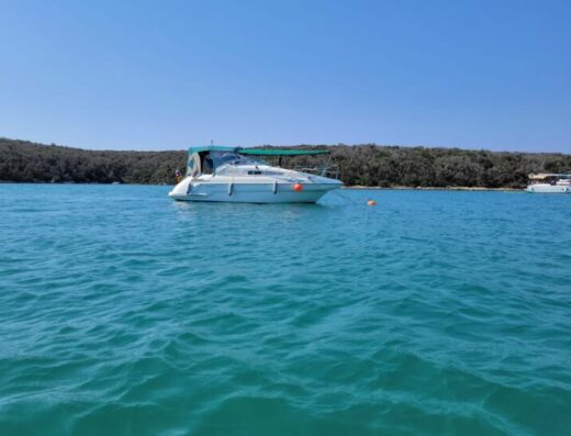 Sealine S Family 240