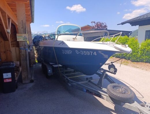 Quicksilver 550