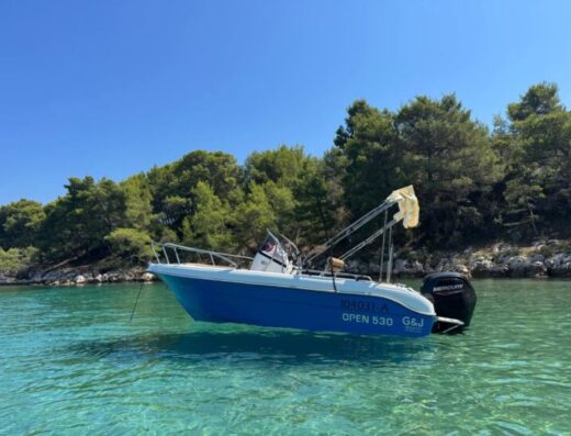GFK Motorboot Mittelkonsole 80 PS Mercury + Trailer