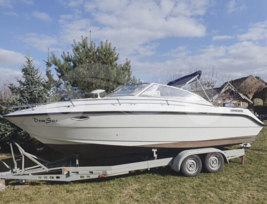 Larson Hampton 220 | Volvo Penta V8 5,7 l | Trailer inklusive