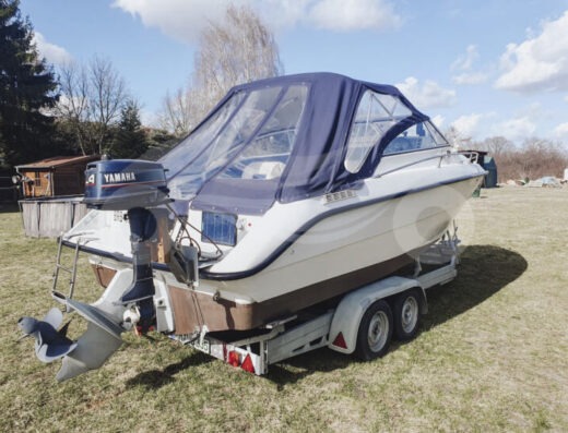 Larson Hampton 220 | Volvo Penta V8 5,7 l | Trailer inklusive