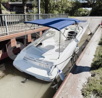 Sea Ray 260 BR – 7.4L V8 – Top Zustand – inkl. Trailer
