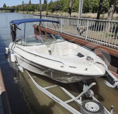 Sea Ray 260 BR – 7.4L V8 – Top Zustand – inkl. Trailer