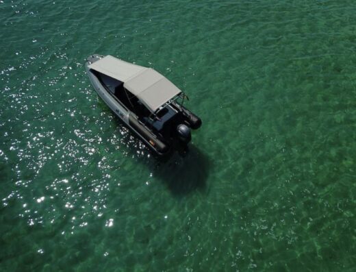 Ribline 6.5 GTO mit Trailer, Yamaha 100 PS, Top-Zustand