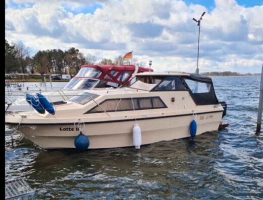 Shetland Black Prince 23